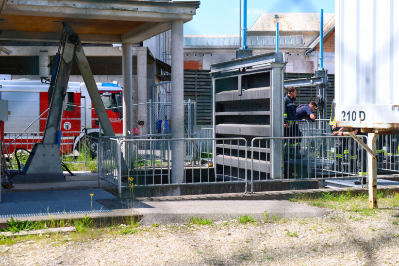 Reh im Mühlbach sorgte für mehrere Einsätze der Feuerwehr in Wels