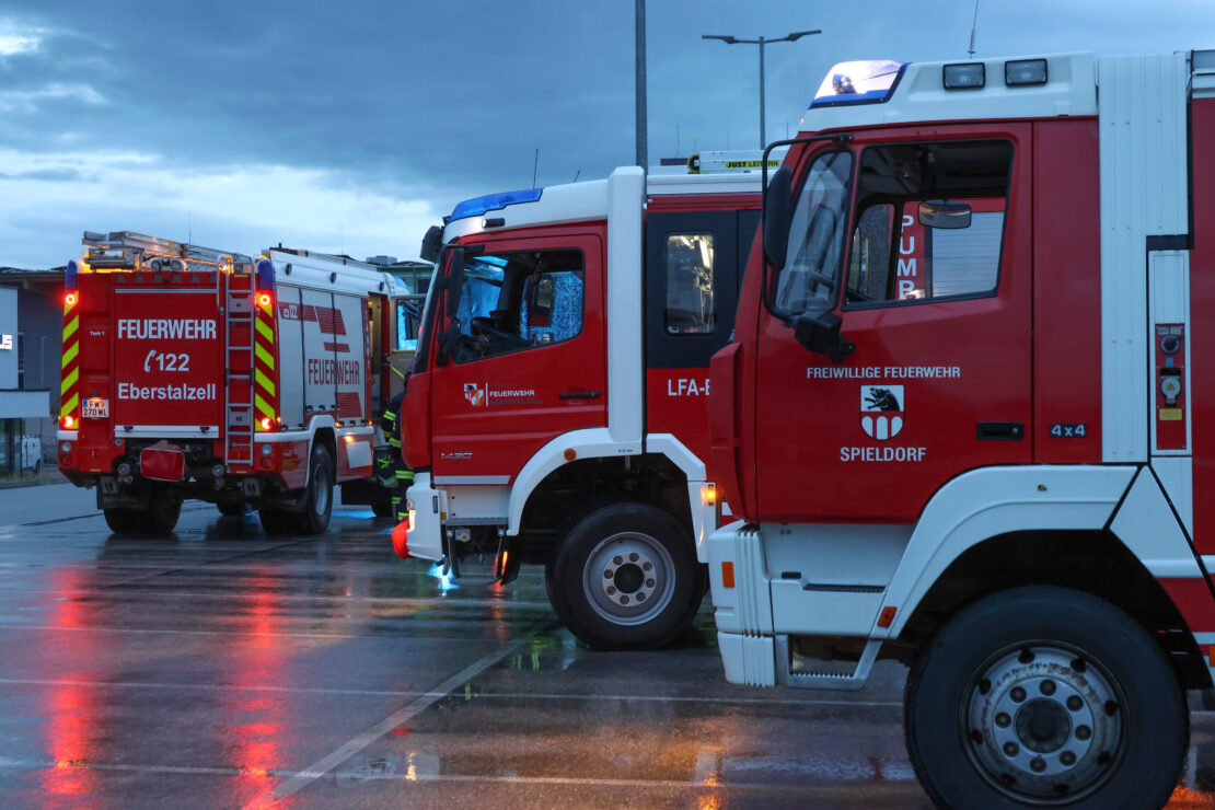 Suchaktion nach vermisster Person in einem Feld in Eberstalzell