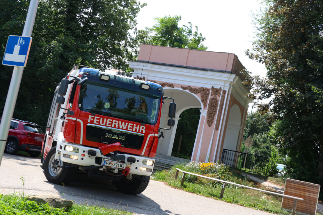 Katze in Wels-Lichtenegg durch Feuerwehr mittels Leiter vom Baum gerettet